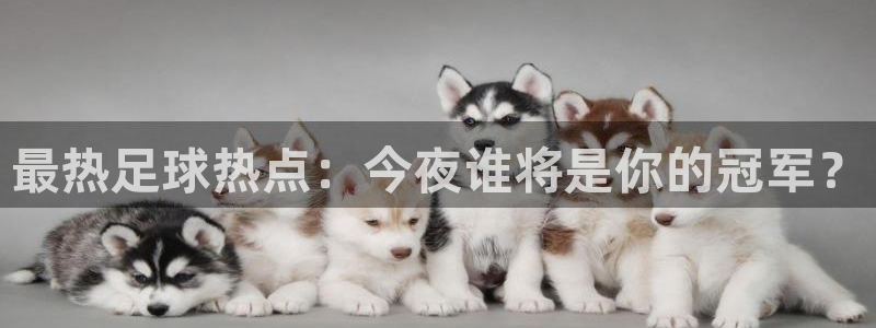 最热足球热点：今夜谁将是你的冠军？