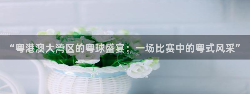 “粤港澳大湾区的粤球盛宴：一场比赛中的粤式风采”