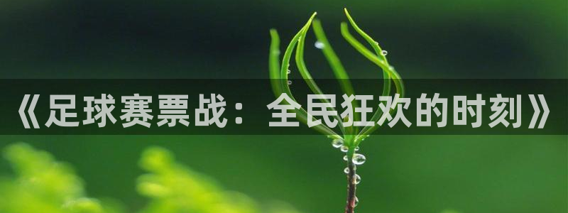 《足球赛票战：全民狂欢的时刻》