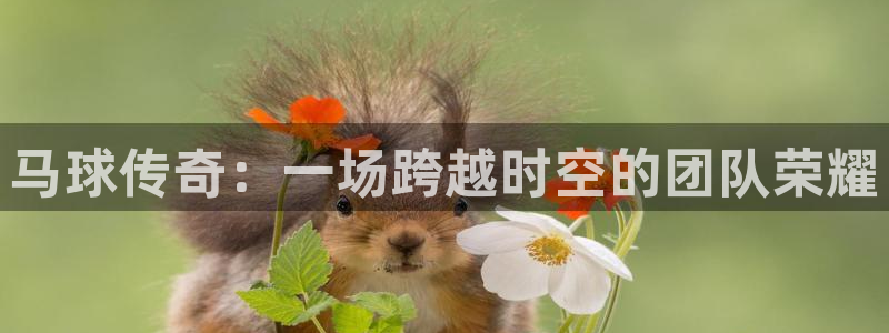 马球传奇：一场跨越时空的团队荣耀